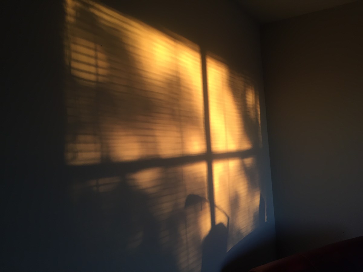 For the New&nbsp;Era