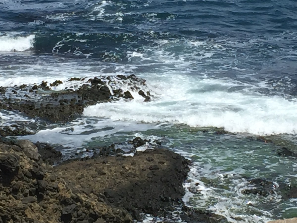 Recommended reading / viewing /&nbsp;listening