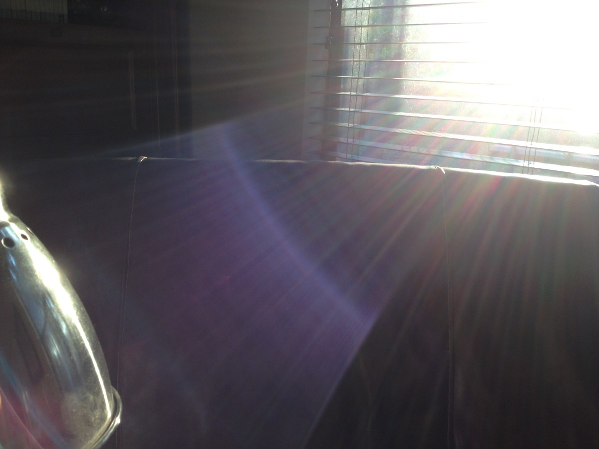 Recommended reading / viewing /&nbsp;listening